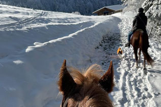 Reitgebiet und Weiden beim Stall Eichhof - Eindrücke 10