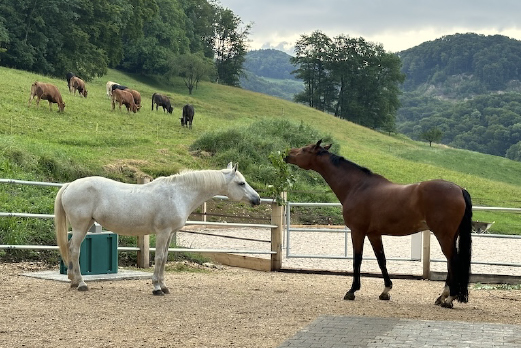 Reitgebiet und Weiden beim Stall Eichhof - Eindrücke 18