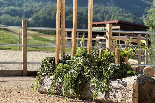 Reitgebiet und Weiden beim Stall Eichhof - Eindrücke 19