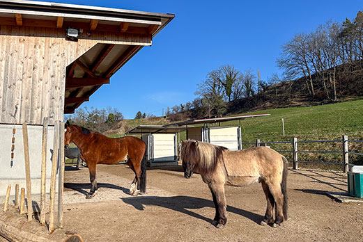 Reitgebiet und Weiden beim Stall Eichhof - Eindrücke 26