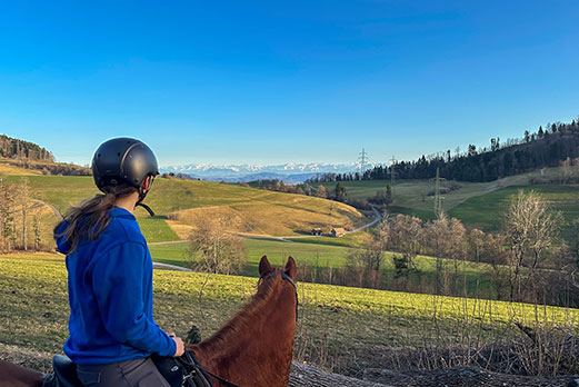 Reitgebiet und Weiden beim Stall Eichhof - Eindrücke 28