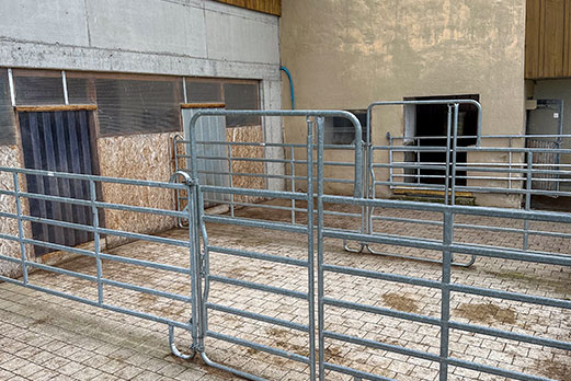 Reitgebiet und Weiden beim Stall Eichhof - Eindrücke 31