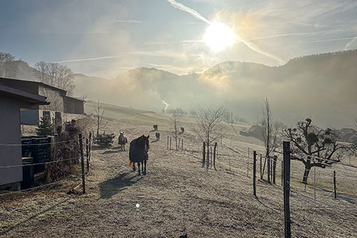 Reitgebiet und Weiden beim Stall Eichhof - Eindrücke 35