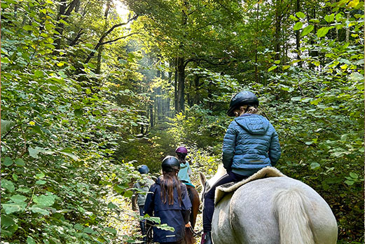 Reitgebiet und Weiden beim Stall Eichhof - Eindrücke 42