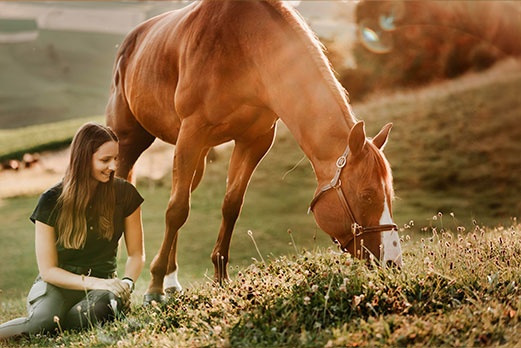 Reitgebiet und Weiden beim Stall Eichhof - Eindrücke 48